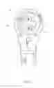 Fig. 09 - Ratchet wrench