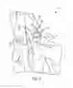Fig. 04 - HAND CUTTING TOOL