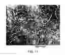 Fig. 07 - Fibrous materials and composites