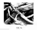 Fig. 10 - Fibrous materials and composites