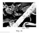 Fig. 12 - Fibrous materials and composites