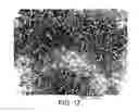 Fig. 13 - Fibrous materials and composites