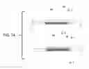 Fig. 26 - Embedding 3D printed fiber reinforcement in molded articles