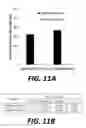 Fig. 12 - Composite epoxy material with embedded MWCNT fibers and process of manufacturing