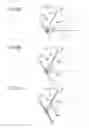 Fig. 06 - MEDIUM DETECTION MECHANISM, MEDIUM DETECTION METHOD, AND PRINTING APPARATUS