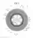 Fig. 02 - TIRE