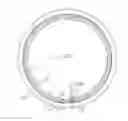 Fig. 01 - TIRE WITH PUNCTURE-PROOF SPARE TIRE STRUCTURE