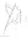 Fig. 08 - Vehicle cargo carrier device
