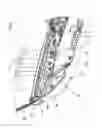 Fig. 03 - Side door trim for vehicle