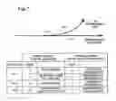 Fig. 06 - Drive assist system and non-transitory computer-readable medium