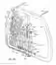 Fig. 30 - Aerodynamic drag reducing apparatus