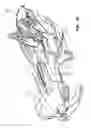 Fig. 41 - Three-wheeled vehicle