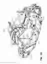 Fig. 59 - Three-wheeled vehicle