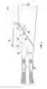 Fig. 03 - Convertible engine exhaust for rotocraft