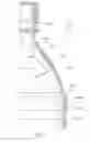 Fig. 06 - Biodegradable bottle for liquids