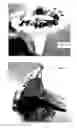 Fig. 05 - Holder for sweets