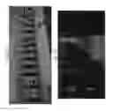 Fig. 19 - Systems and methods for modular storage and management