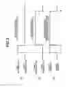 Fig. 09 - Sheet detection device, sheet conveyance device, and image forming apparatus