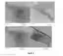 Fig. 04 - Aqueous and organic suspensions of exfoliated nanocarbon materials, method for making same and uses thereof