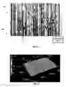 Fig. 08 - COATING INTERFACE