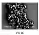 Fig. 05 - Production of cyclic Ccompounds