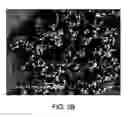 Fig. 07 - Production of cyclic Ccompounds