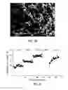 Fig. 11 - Production of cyclic Ccompounds