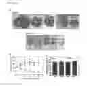 Fig. 08 - DIGLYCIDIC ETHER DERIVATIVE THERAPEUTICS AND METHODS FOR THEIR USE