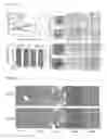 Fig. 09 - DIGLYCIDIC ETHER DERIVATIVE THERAPEUTICS AND METHODS FOR THEIR USE