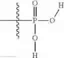Fig. 50 - DIGLYCIDIC ETHER DERIVATIVE THERAPEUTICS AND METHODS FOR THEIR USE