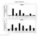 Fig. 05 - PPAR MODULATORS