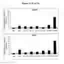 Fig. 23 - PPAR MODULATORS