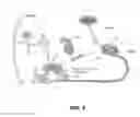 Fig. 02 - Histone acetyltransferase modulators and uses thereof