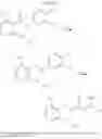 Fig. 115 - Histone acetyltransferase modulators and uses thereof