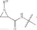 Fig. 236 - Auristatin derivatives and conjugates thereof