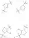 Fig. 534 - Auristatin derivatives and conjugates thereof