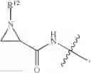 Fig. 664 - Auristatin derivatives and conjugates thereof