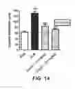 Fig. 15 - POLYCYCLIC LPA1 ANTAGONIST AND USES THEREOF
