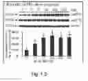 Fig. 03 - Compounds and methods of treating neurological disorders