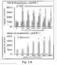Fig. 08 - Compounds and methods of treating neurological disorders