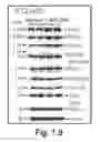 Fig. 09 - Compounds and methods of treating neurological disorders