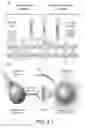 Fig. 12 - Compounds and methods of treating neurological disorders