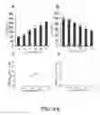 Fig. 17 - Compounds and methods of treating neurological disorders