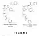 Fig. 24 - Compounds and methods of treating neurological disorders