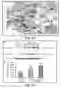 Fig. 48 - Compounds and methods of treating neurological disorders