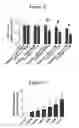 Fig. 09 - Compositions and methods for treating cancers