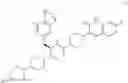 Fig. 33 - CGRP receptor antagonists