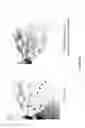 Fig. 74 - Compounds, compositions and methods for coloring edible materials