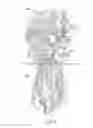 Fig. 04 - EXPRESSION AND CONFORMATIONAL ANALYSIS OF ENGINEERED INFLUENZA HEMAGGLUTININ