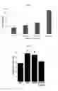 Fig. 06 - Amelioration of chronic kidney disease